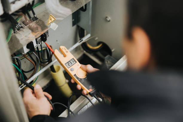 Best Local Electrician Companies  in Venice Gardens, FL