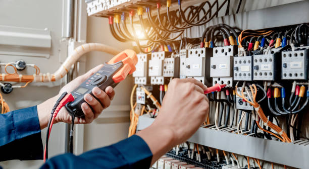 Best Home Electrical Repair  in Venice Gardens, FL