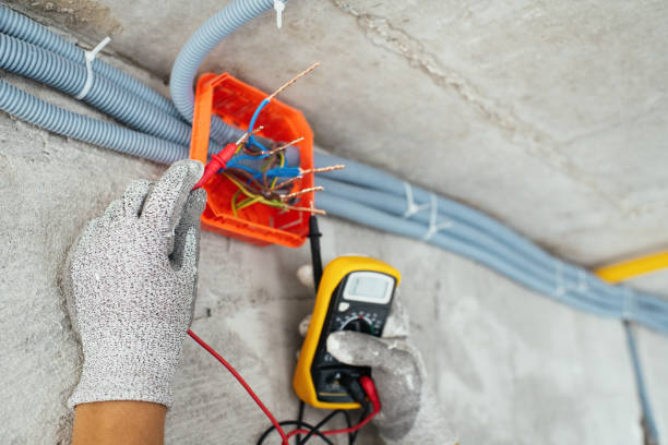 Best Affordable Electrician  in Venice Gardens, FL